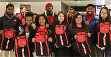 Bulls in the community