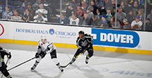 Dover Chicago wolves