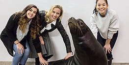 High School Students at Shedd Aquarium