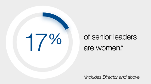 Senior Leader Gender Statistics